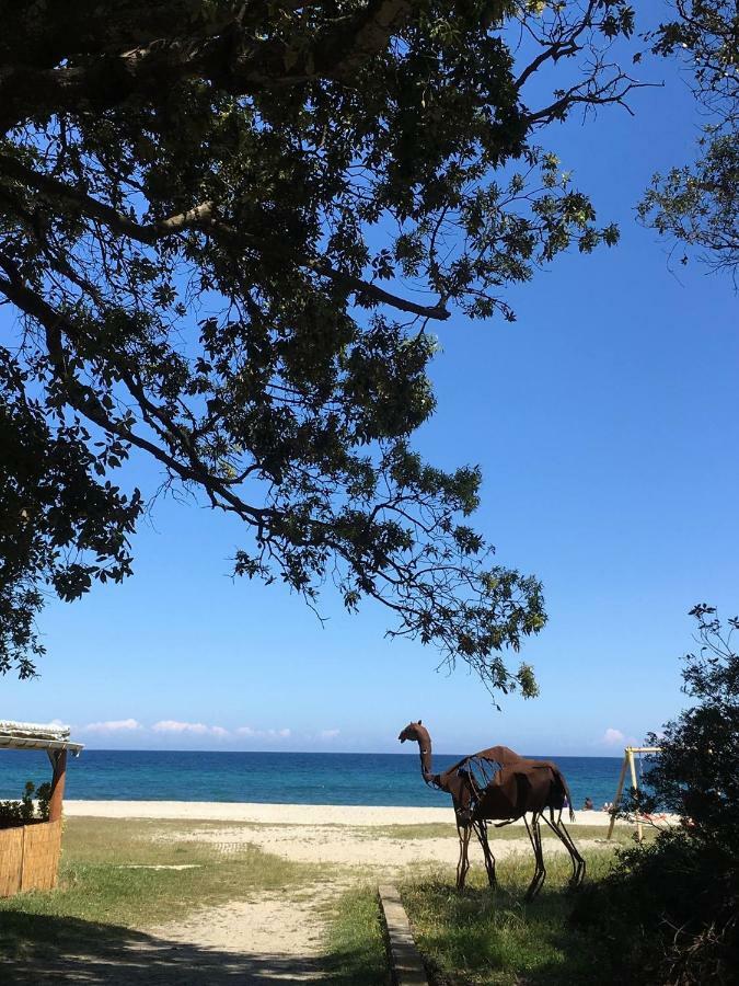 Apartamento Casa Piana *